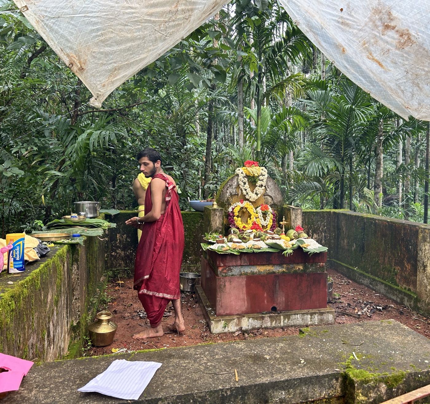 A Nagabana — a serpent shrine in a forest grove in Tulu Nadu — a moss-covered stone enclosure with a garlanded naga stone on a raised platform, offerings laid out, and a person in traditional red dress performing puja under a monsoon rain-cover